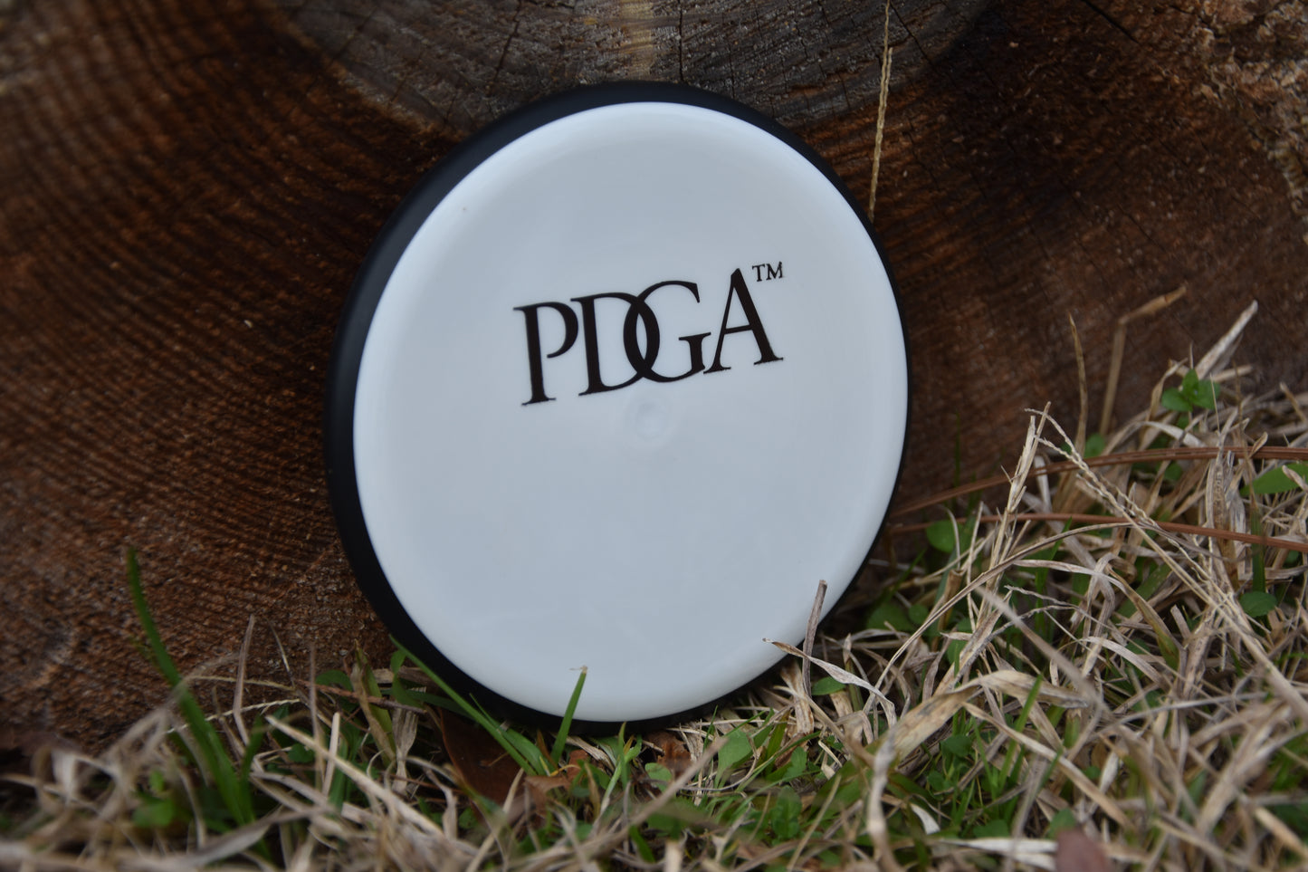 MVP Mini - Old PDGA Logo