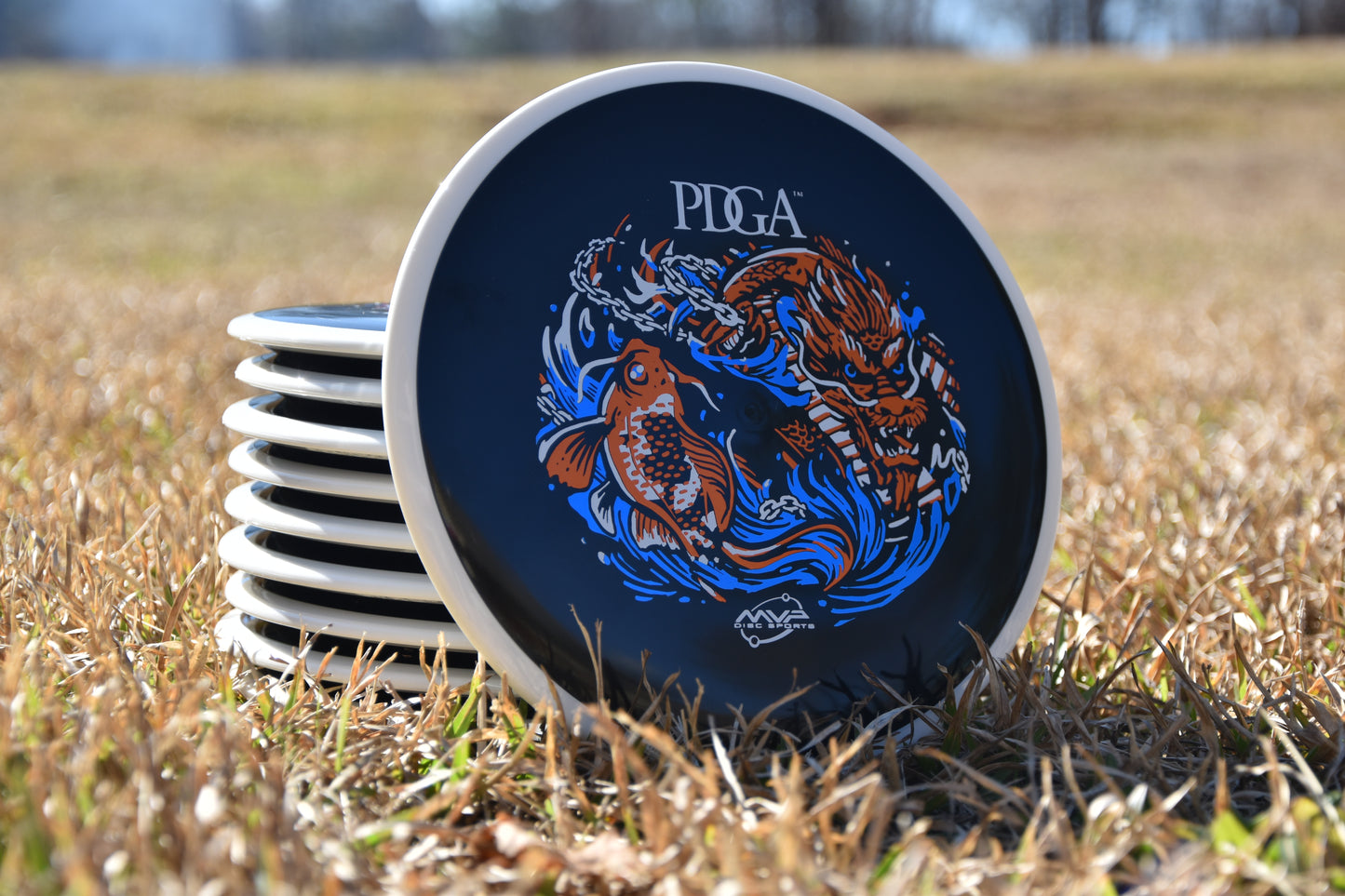 10 Disc Practice Set - Axiom Crave